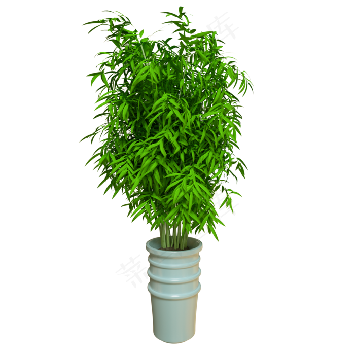 花盆绿竹盆栽C4D,免抠元素(2000X2000(DPI:72))psd模版下载