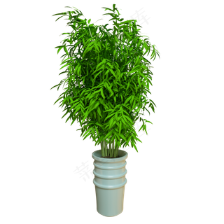 花盆绿竹盆栽C4D,免抠元素