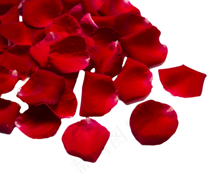 红玫瑰玫瑰花瓣