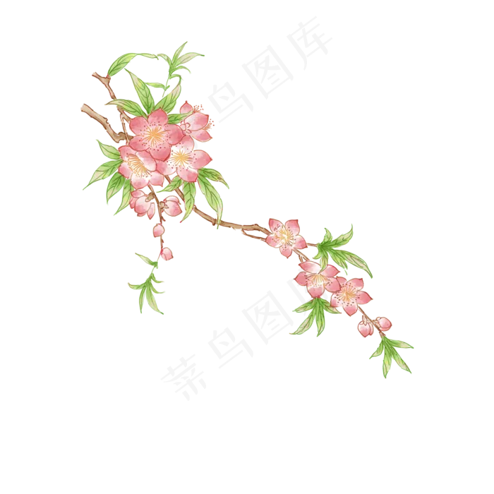 卡通手绘中国风桃花,免抠元素(2000X2000(DPI:300))psd模版下载