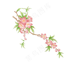 卡通手绘中国风桃花,免抠元素