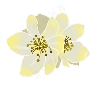 梨花开手绘装饰图案,免抠元素