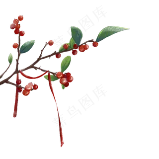 水彩古风积雪的红果子的树枝