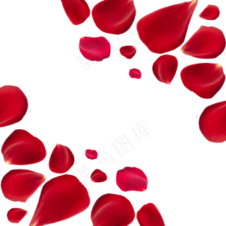 红色玫瑰花瓣