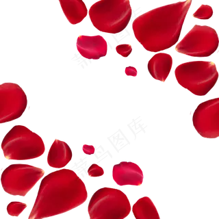 红色玫瑰花瓣
