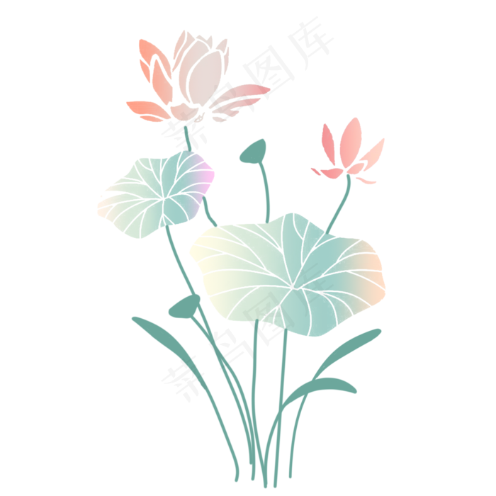 粉色的荷花装饰插画