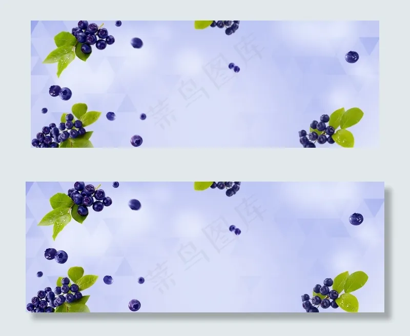 蓝色清新水果主题蓝莓淘宝电商banner(1920*700px 	       )psd模版下载