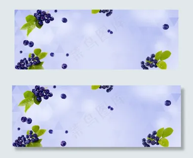 蓝色清新水果主题蓝莓淘宝电商banner