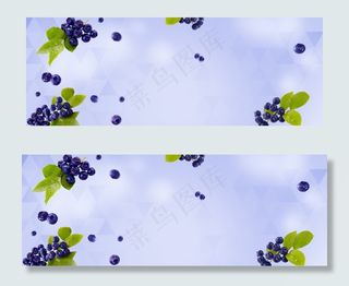 蓝色清新水果主题蓝莓淘宝电商banner