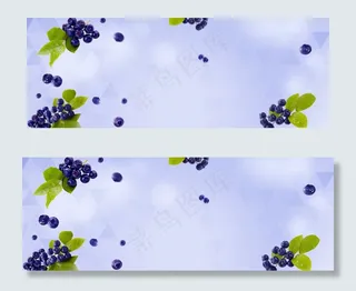 蓝色清新水果主题蓝莓淘宝电商banner