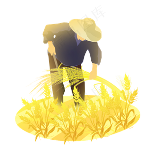 芒种农民收麦子素材