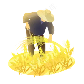 芒种农民收麦子素材
