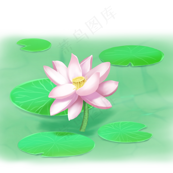 荷花春夏荷塘景色(2000X2000(DPI:300))psd模版下载
