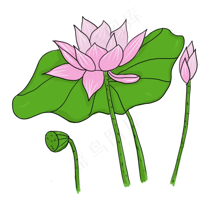手绘中国风荷花PNG素材(2000X2000(DPI:300))psd模版下载