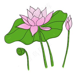 手绘中国风荷花PNG素材