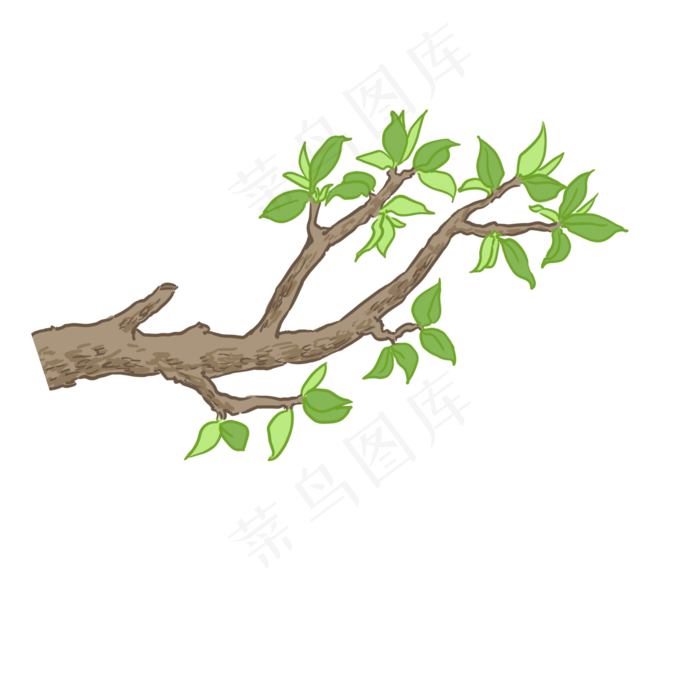 粗树枝绿色树叶PNG(2000X2000(DPI:300))psd模版下载