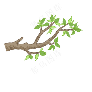 粗树枝绿色树叶PNG