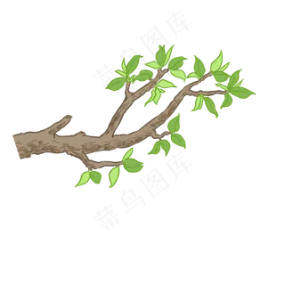 粗树枝绿色树叶PNG