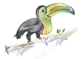 水彩可爱观赏鸟类,免抠元素