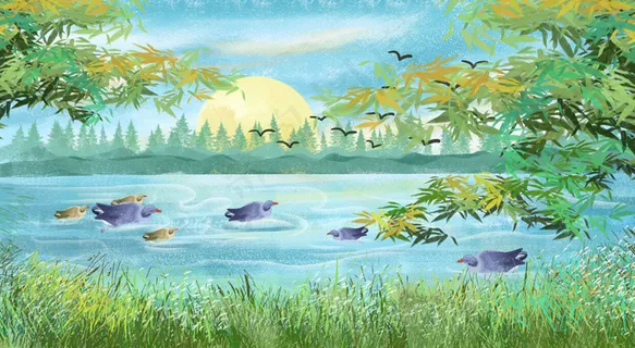 乡村生活放鸭子场景图 乡村生活放鸭子场景图
