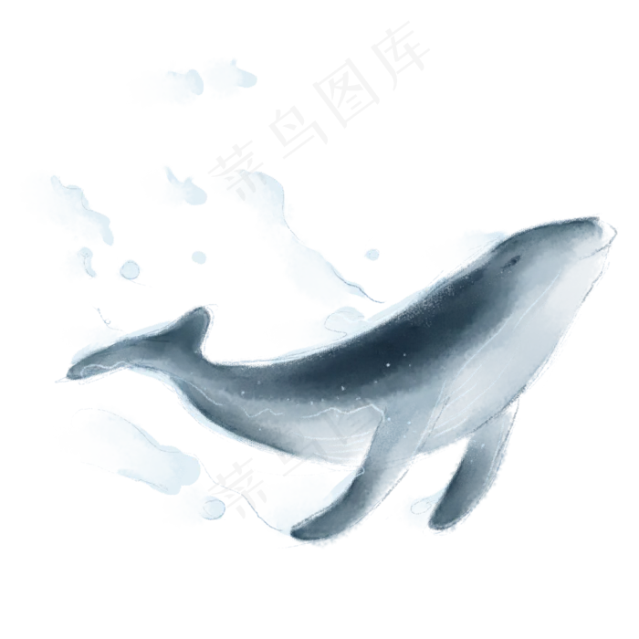 矢量水墨鲸鱼(2480X2480(DPI:300))psd模版下载