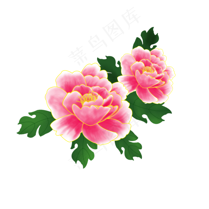 植物粉红色花牡丹花,免抠元素(1024*1369px 72 dpi )psd模版下载