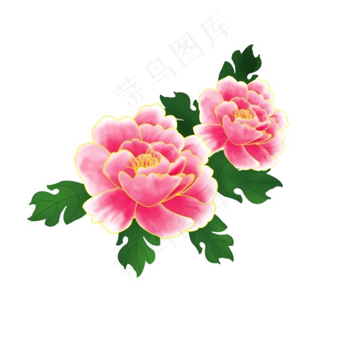 植物粉红色花牡丹花,免抠元素(1024*1369px 72 dpi )psd模版下载