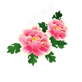 植物粉红色花牡丹花,免抠元素