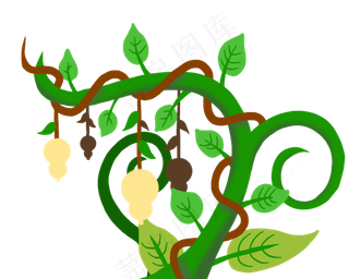 漂亮的花纹枝藤边框