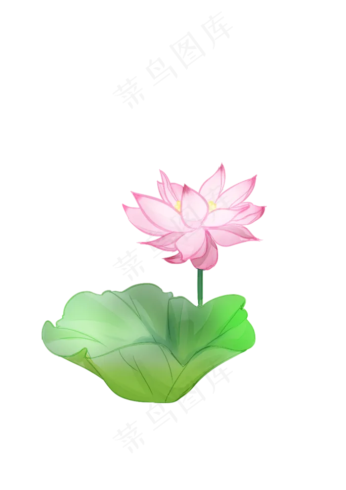 手绘夏日荷花PNG下载(2480X3508(DPI:300))psd模版下载