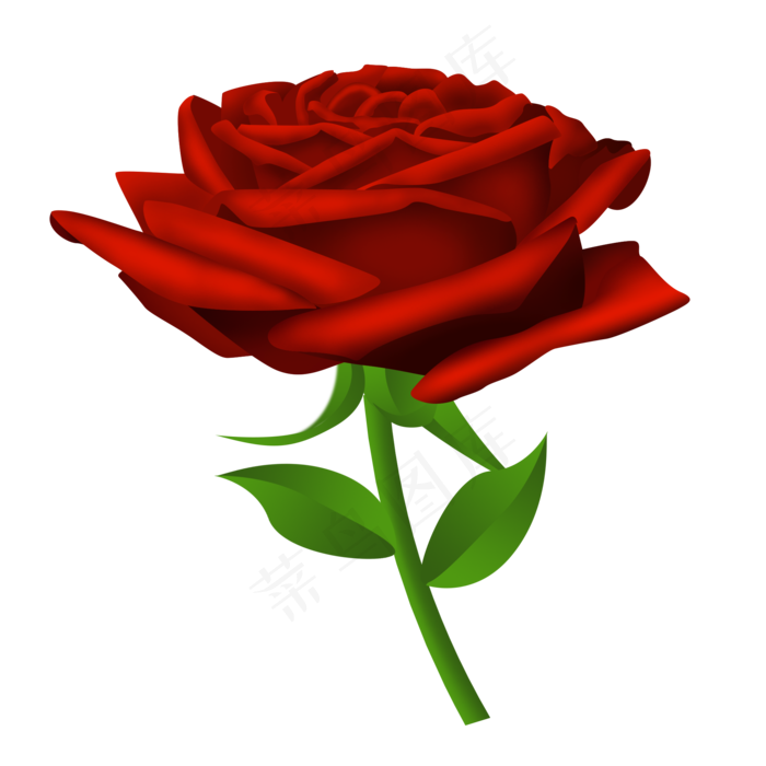 红色的玫瑰花(2000X2000(DPI:300))psd模版下载