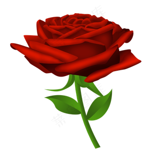 红色的玫瑰花