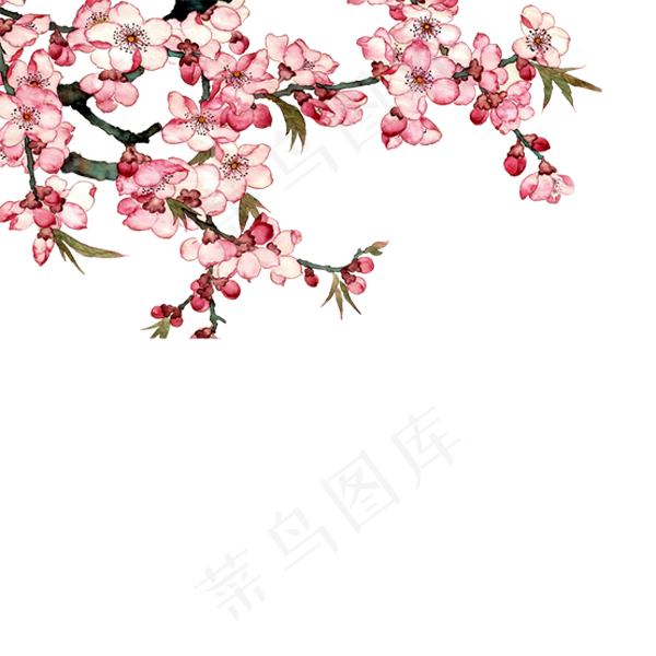 墙角盛开的一树桃花免抠图,免抠元素(600*600px)psd模版下载