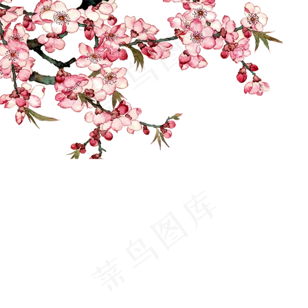 墙角盛开的一树桃花免抠图,免抠元素(600*600px)psd模版下载