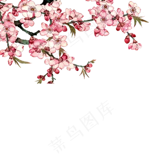 墙角盛开的一树桃花免抠图,免抠元素
