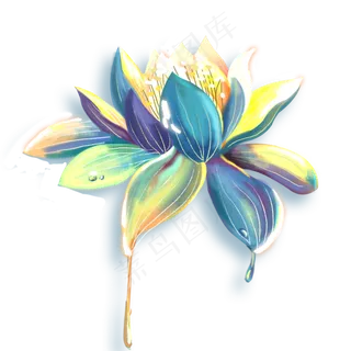 绿色的荷叶免抠图