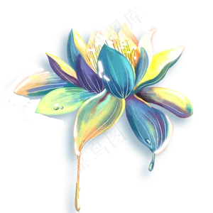 绿色的荷叶免抠图