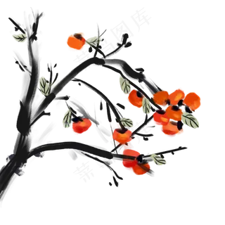 手绘彩色水墨柿子树