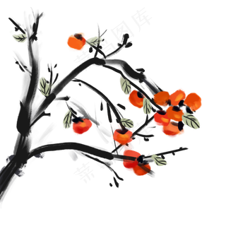 手绘彩色水墨柿子树