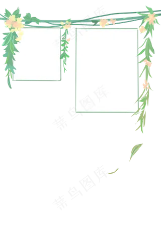 植物相框照片墙绿叶