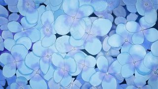 唯美繁花蓝色花海