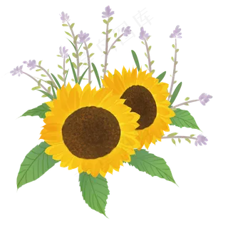 唯美向日葵花朵图