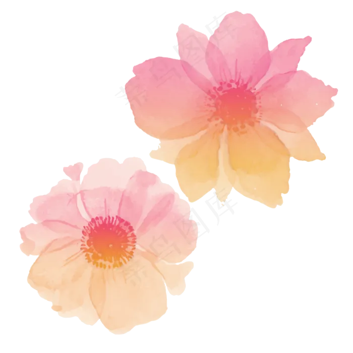 半透明粉色清新少女樱花(2500X2500(DPI:300))psd模版下载