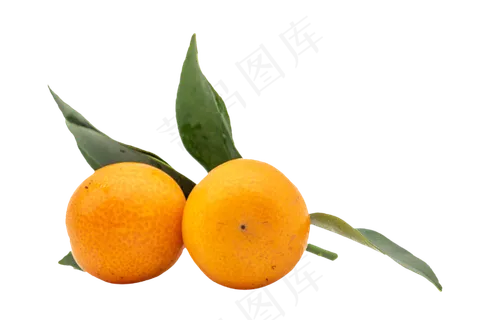 圆形金桔水果,免抠元素