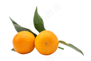 圆形金桔水果,免抠元素