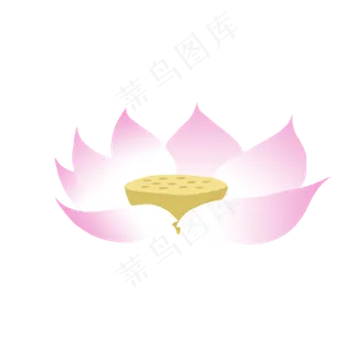 夏天荷花荷叶手绘