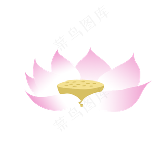 夏天荷花荷叶手绘