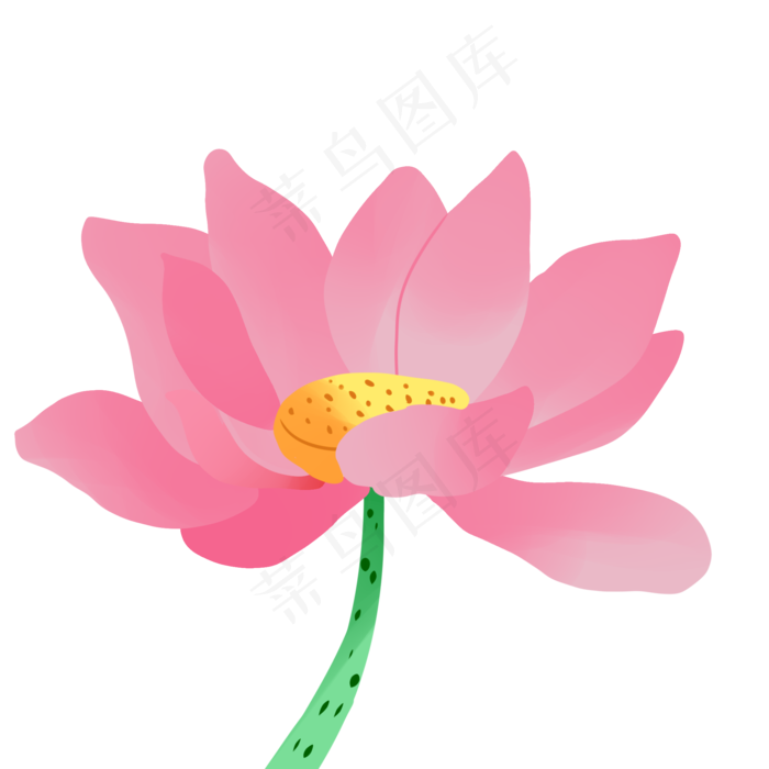 粉色莲花卡通插画