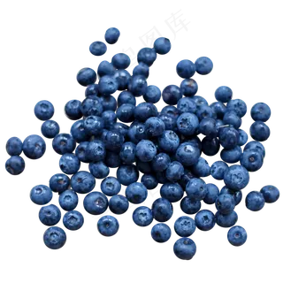 蓝莓浆果花青素摄影