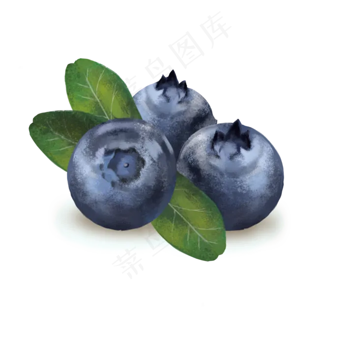 新鲜蓝莓水果营养(2000X2000(DPI:300))psd模版下载
